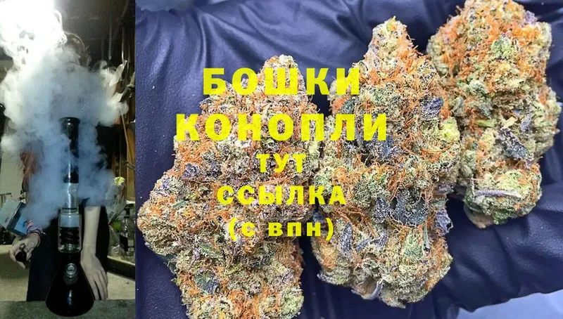 Бошки марихуана OG Kush  где купить   сайты даркнета как зайти  Александров 